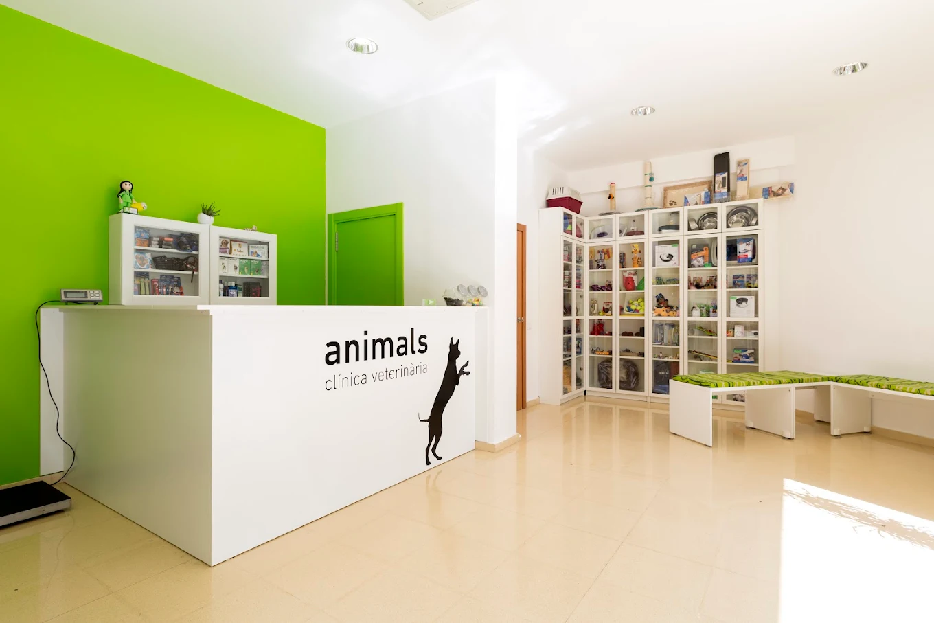 Recepció Animals Clínica Veterinària